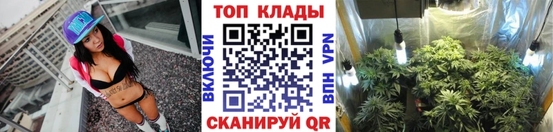 Купить закладку APVP  Мефедрон  Конопля  Энем
